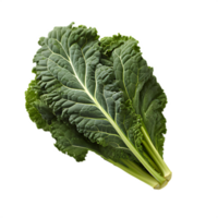 fresh kale leaf png