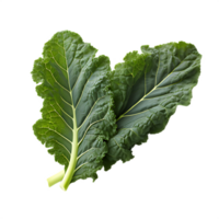 fresh kale leaf png