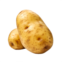 isoliert frisch Kartoffel png