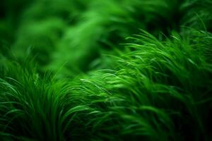 Nature green texture grass. Generate Ai photo