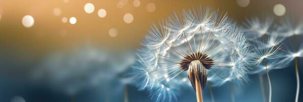 Abstract blurred nature background dandelion seeds parachute. Bokeh pattern. Generative AI photo
