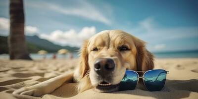 Golden Retriever dog is on summer vacation at seaside resort and relaxing rest on summer beach of Hawaii. AI Generative photo