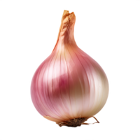 isolated fresh shallot png