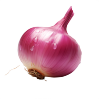 isolated fresh shallot png