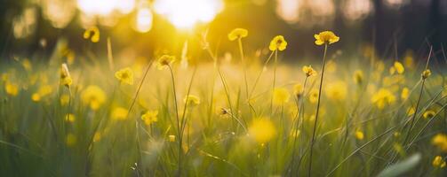 Tranquil spring summer nature closeup and blurred forest background. Generative AI photo
