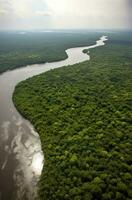 Aerial view of the Amazonas jungle landscape with river bend. Generative AI photo