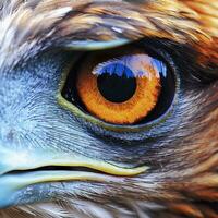 águila ojo. un cerca Mira a el visión de el Rey de aves. ai generativo foto