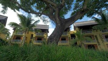 Hotels and trees on tropical resort video