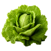 verse groene sla png