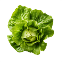 frischer grüner Salat png