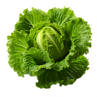 frischer grüner Salat png