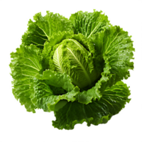 verse groene sla png