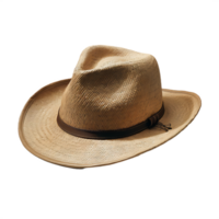 old vintage hat png