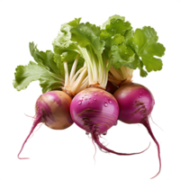 fresh turnip vegetable png