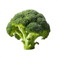 broccoli verdi freschi png