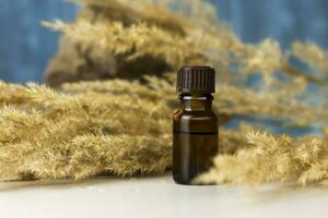 a bottle of cosmetic oil on a background of pampas grass on a colored background and a stone. Stylish appearance, layout, personality. Banner, a place for the text. photo
