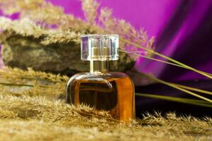 A perfume bottle on a background of Pampas grass on a colored background and a stone. a fluffy twig. Stylish appearance, layout, personality. Banner, a place for the text. photo