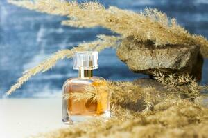 A perfume bottle on a background of Pampas grass on a colored background and a stone. a fluffy twig. Stylish appearance, layout, personality. Banner, a place for the text. photo