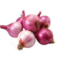 isolated fresh shallot png