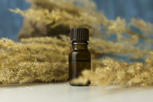 a bottle of cosmetic oil on a background of pampas grass on a colored background and a stone. Stylish appearance, layout, personality. Banner, a place for the text. photo