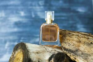 A bottle of perfume on the background of a dry stump and tree bark. Stylish appearance, layout, personality. Banner, a place for the text. photo