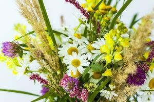 A bouquet of wild flowers in a small glass vase on a white background. Stylish appearance, layout, personality. Banner, a place for the text photo