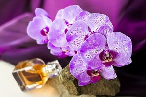A perfume bottle stands on a stone against a background of beautiful orchids. Stylish appearance, layout, personality. Banner, a place for the text. photo