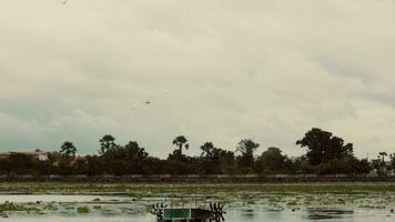 landschap, natuur visie achtergrond video