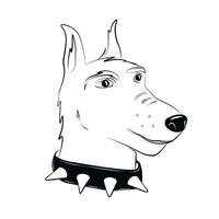 Doberman. A greyhound dog. Muzzle in a collar. Portrait. Vector stock illustration. Isolated on a white background.