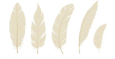 Feather vector stock illustration. Angel. Light, weightless, soft. Isolated on a white background.