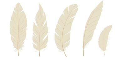 Feather vector stock illustration. Angel. Light, weightless, soft. Isolated on a white background.