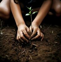 The girls hands are delicate and pale her fingers slender and graceful, nature stock photo