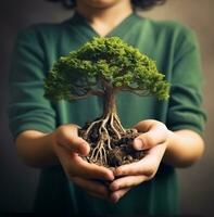 Child hand holding tree plant in environmental green concept stock photo 3390818, nature stock photo