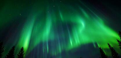 Northern lights in the sky Aurora Green light in the sky Norway North Pole 3d illustration photo