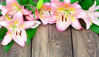 Lily flowers on a wooden background bright color background photo