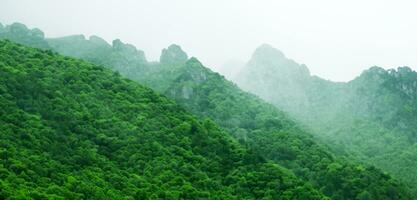 verde montañas en niebla panorámico naturaleza ver montaña paisaje y frío niebla en el Mañana 3d ilustración foto