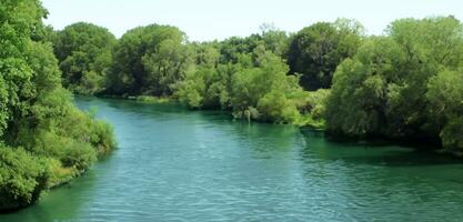 wide river Surrounded by the nature of green trees and rivers during the day photo