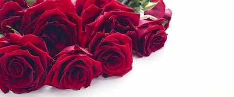 red rose bouquet on a white background Flowers representing love photo