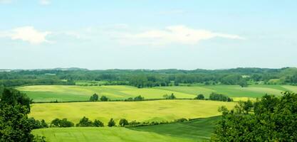 meadow hill rural landscape Land and sky skyline 3D illustration photo