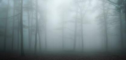 el pino bosque estaba lleno de fumar de miedo misterio grande árbol rodeado por niebla en invierno 3d ilustración foto