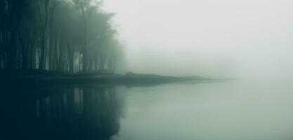 un perezoso río en un fantasía bosque antecedentes orilla en un misterioso y de miedo bosque niebla tóxica en el bosque oscuro tono imagen foto