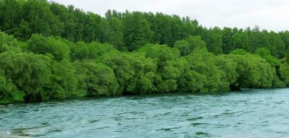 wide river Surrounded by the nature of green trees and rivers during the day photo