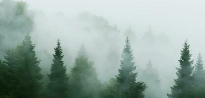 el pino bosque estaba lleno de fumar de miedo misterio grande árbol rodeado por niebla en invierno 3d ilustración foto