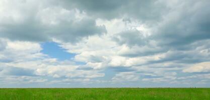 grass field grass and sky background Skyline panorama 3D illustration photo