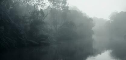 A lazy river in a fantasy forest background Riverside in a mysterious and scary forest Smog in the forest dark tone image photo