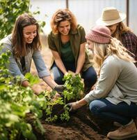 A group of friends are planting a tree in their community garden, nature stock photo