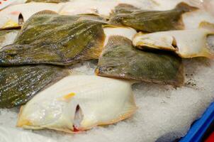 Fresh Yellow Belly Flounder Rhombosolea leporina fish freezing on the ice at a fish market, is a flatfish of the genus Rhombosolea, found around New Zealand. photo