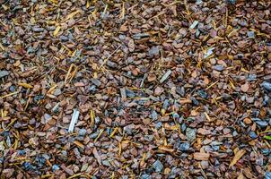 Pieces of tree bark mulch texture in a garden, decorative, finely shredded mulch with a natural red-brown hue, An organic recycled byproduct of plantation timber. photo