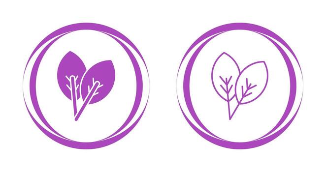Leaf Vector Icon