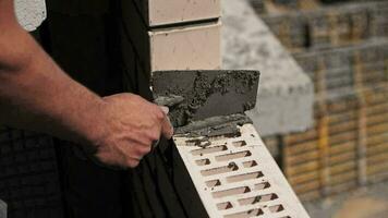 construtor aplica-se concreto para a tijolos. fechar-se do a trabalhador mãos. video